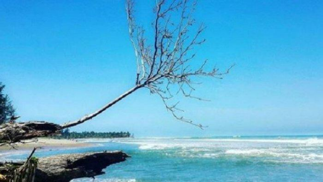 Pantai Teluk Sepang: Surga Tersembunyi di Pesisir Bengkulu
